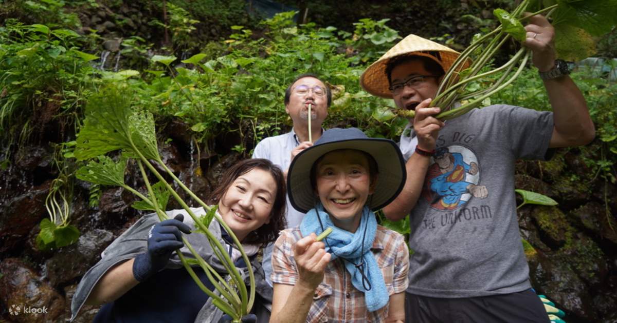 Wasabi farm hiking tour in Okutama Klook